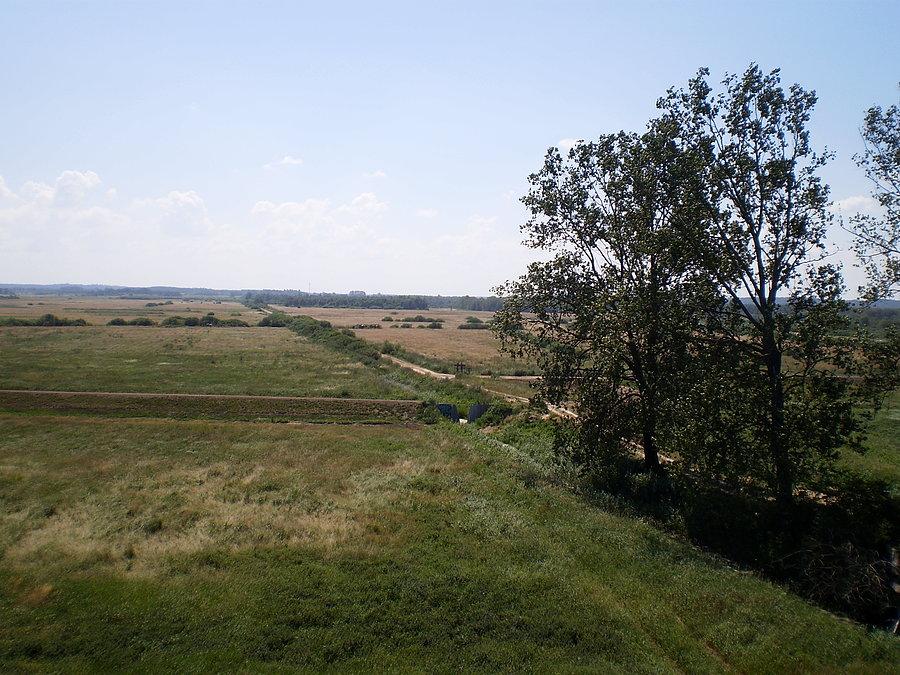 Widoki z Wieży
