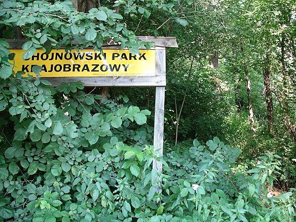 W gąszczu zieleni tablica informacyjna coby turysta nie miał wątpliwości gdziez on trafił