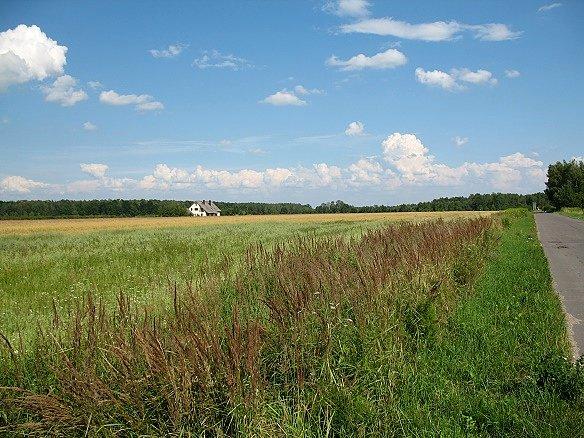 Jest taki samotny dom z dala od sąsiadów, drogi, sklepu, autobusu