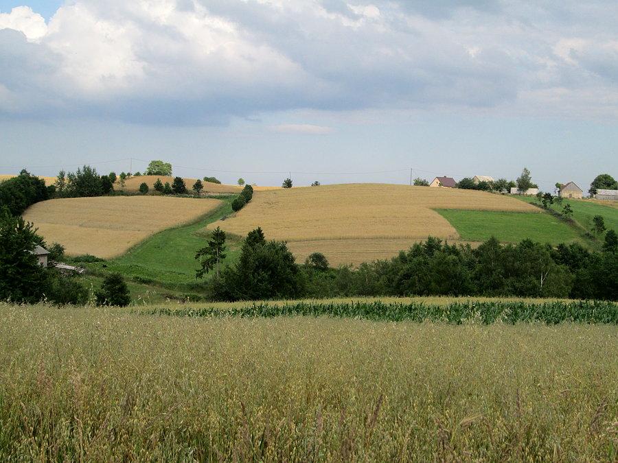 Widok numer 1