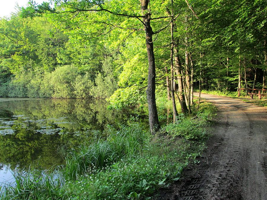 Widok numer 3