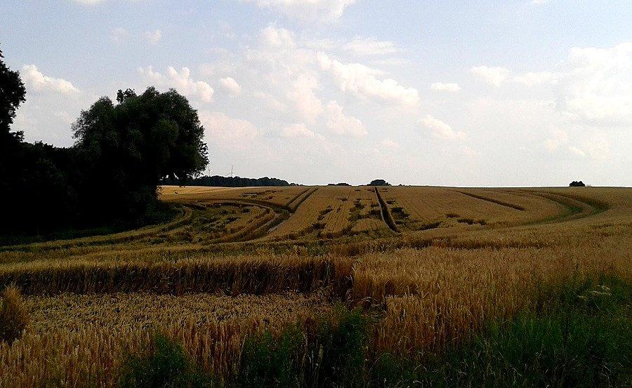 "Znaki na polach"