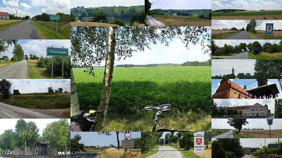 Kartoszka kolaż