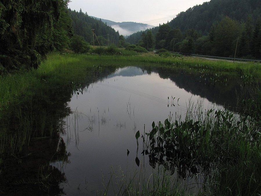 Nowiutkie oczko wodne