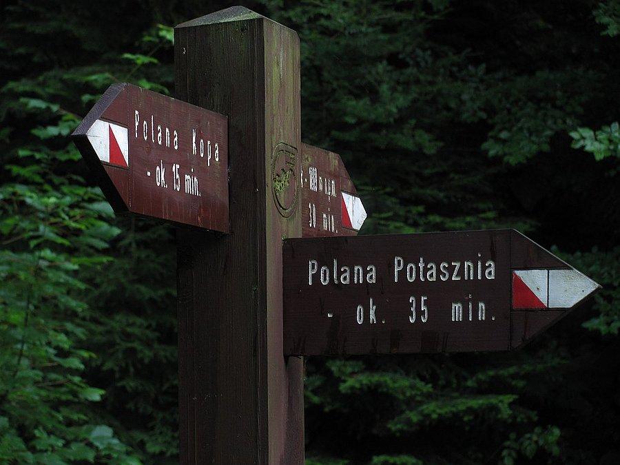 Skrzyżowanie szlaków