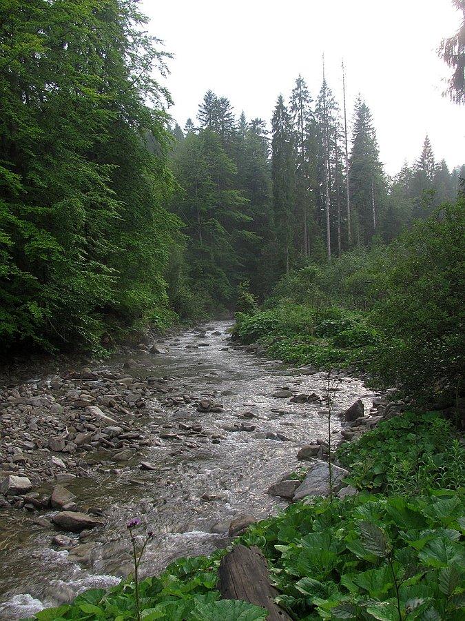 Kamienicki Potok po deszczu