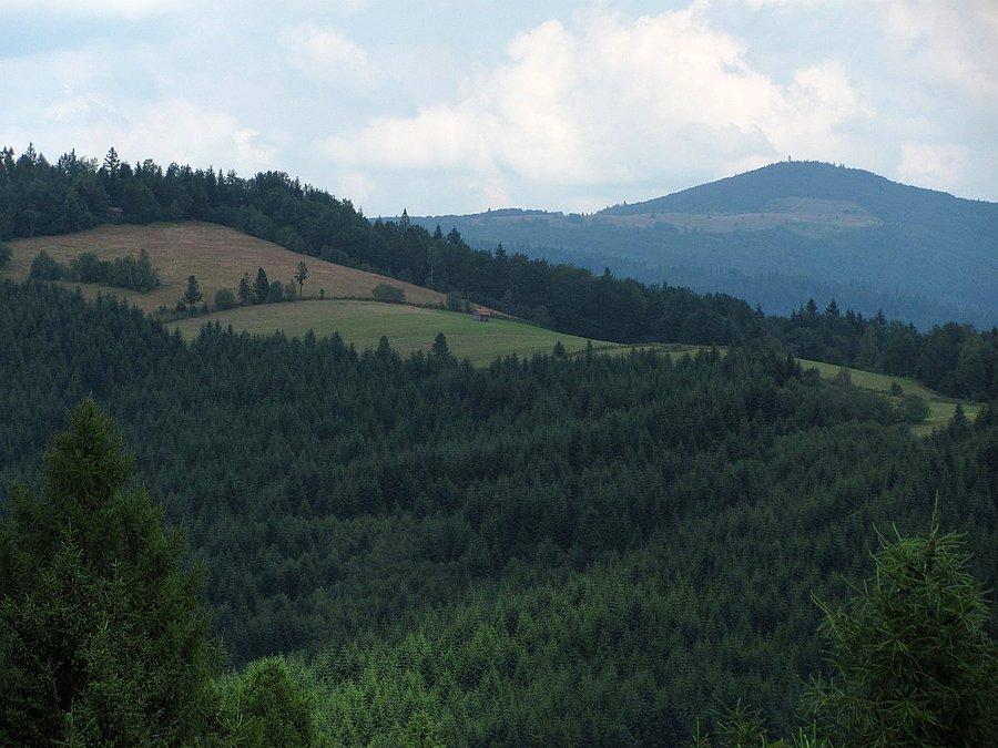 Mogielica wychyla się zza Jasienia