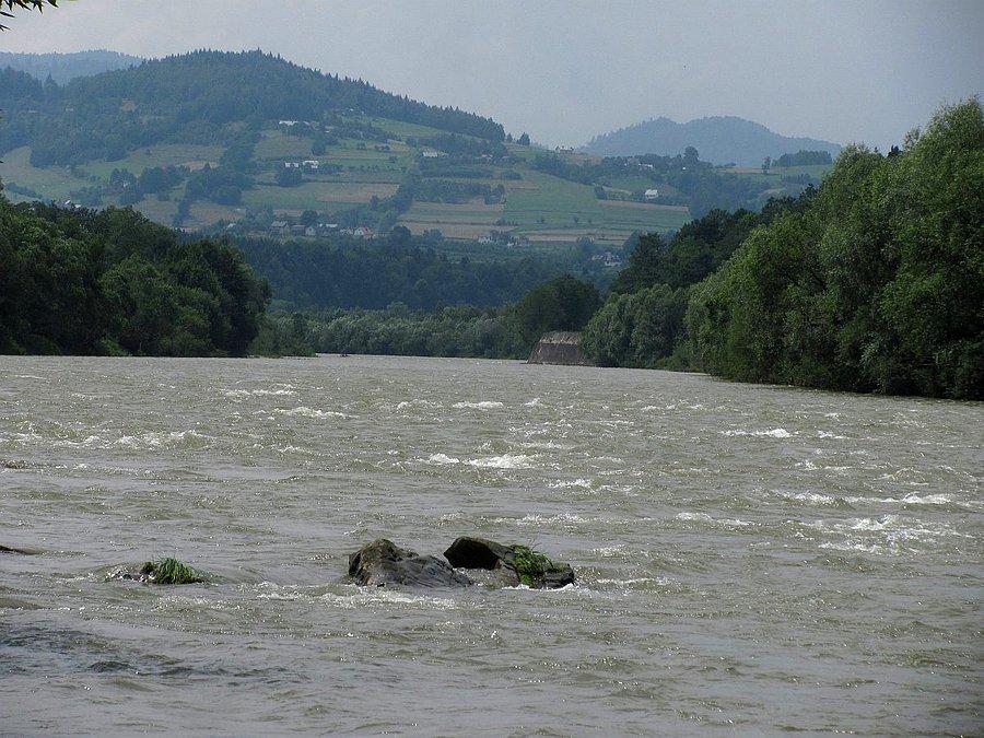 Dunajec trochę wezbrał