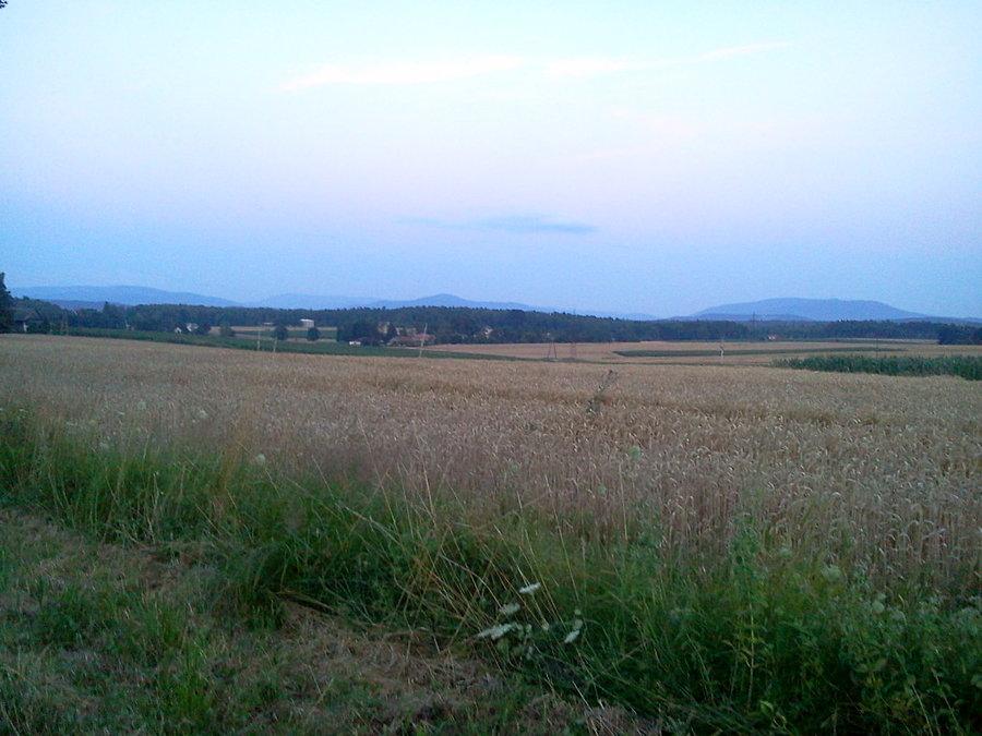 Widoczek na Beskidy