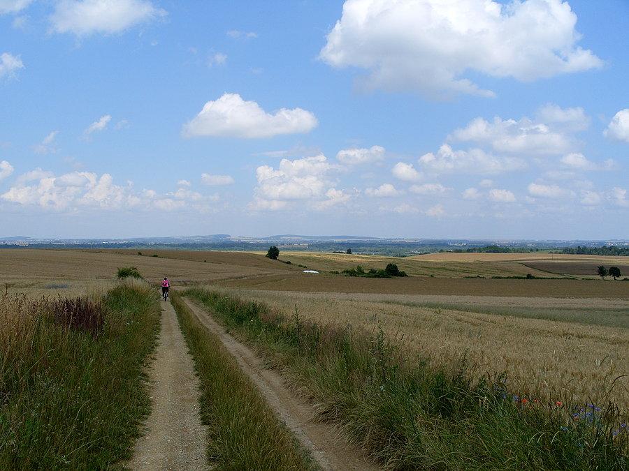 Bo obfitym posiłku ruszamy w stronę Mąkolna. Oczywiście ja jeszcze zostałem na troszeczkę bo wyżej mogłem dosięgnąć czeresienki ;)