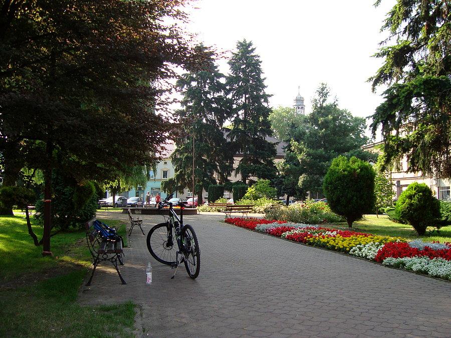 Odolanów
