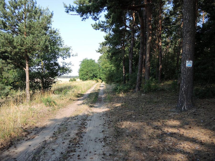 Niebieski szlak rowerowy Obrzycko - Wronki