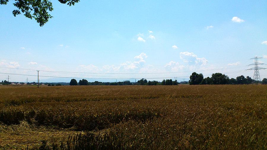 Pola i góry