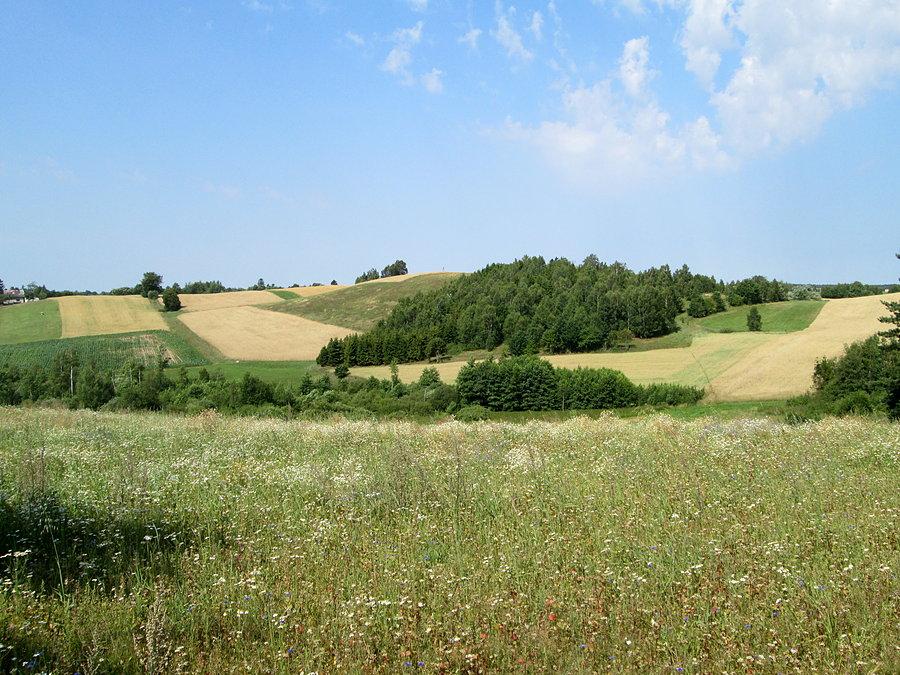 Kaszubskie pagórki