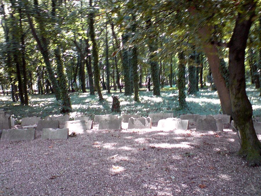 Łódź Park Rejtana
