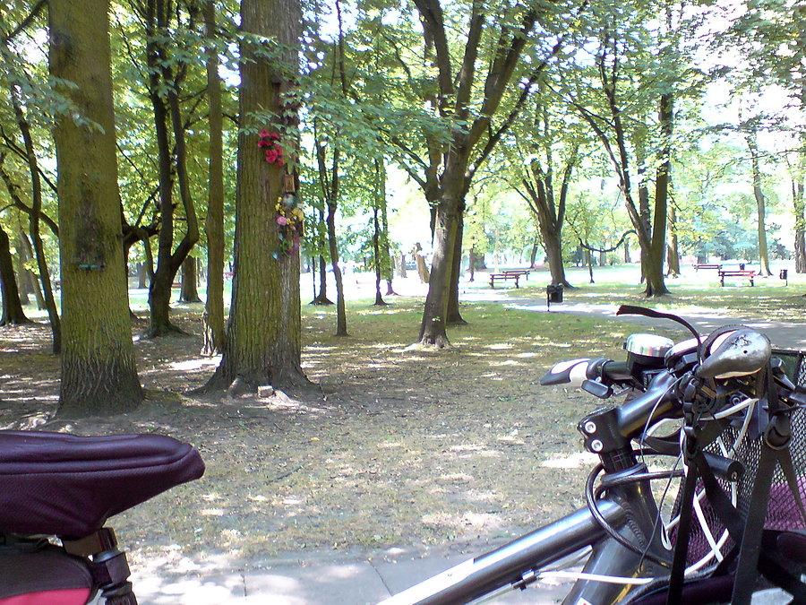 Łódź park Sielanka