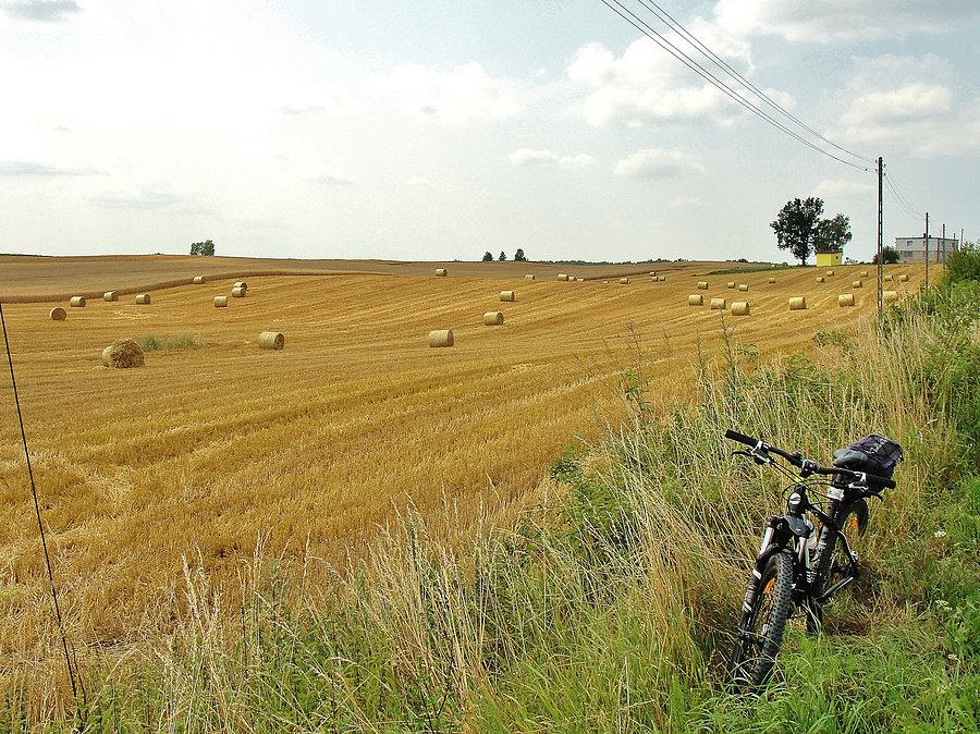 Na trasie wycieczki. Powoli pola pustoszeją