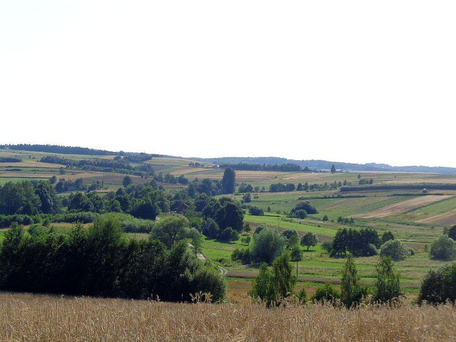 Widok na okolicę