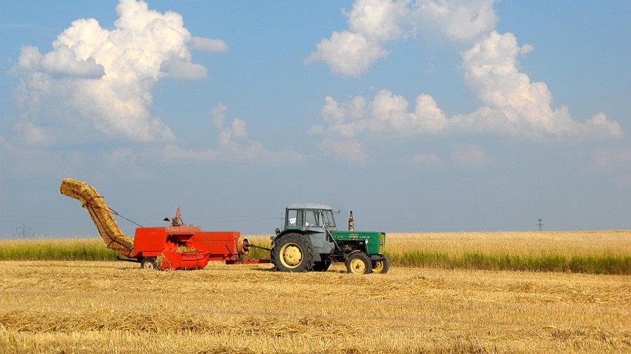 Żniwny krajobraz - traktor z prasą w okolicy Grocholubia