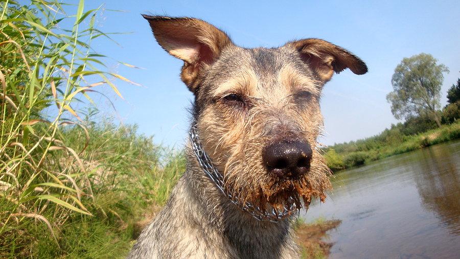 Lolek nad Wartą