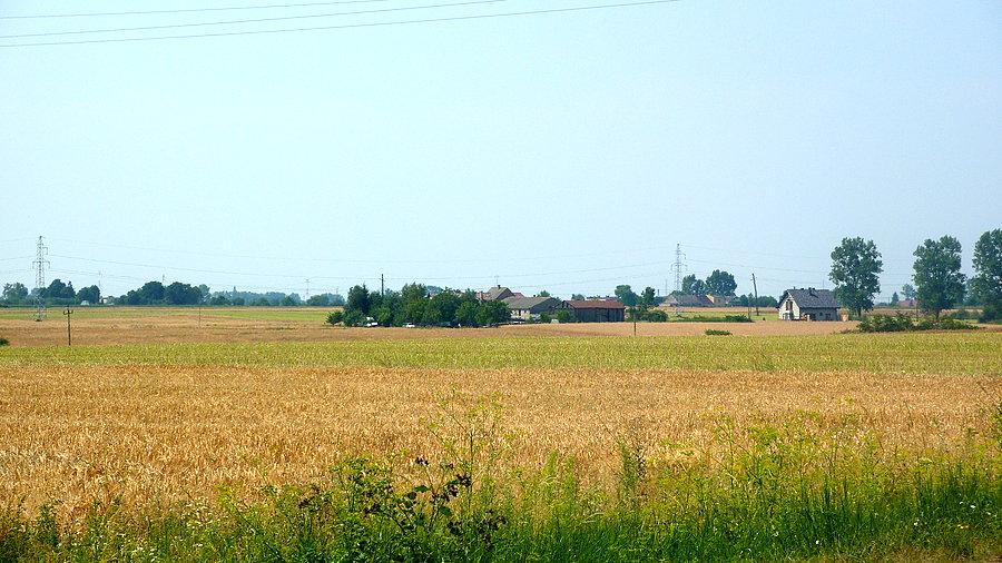 Jakieś zdjęcie krajobrazu warto mieć... a był on "mocno agrarny"