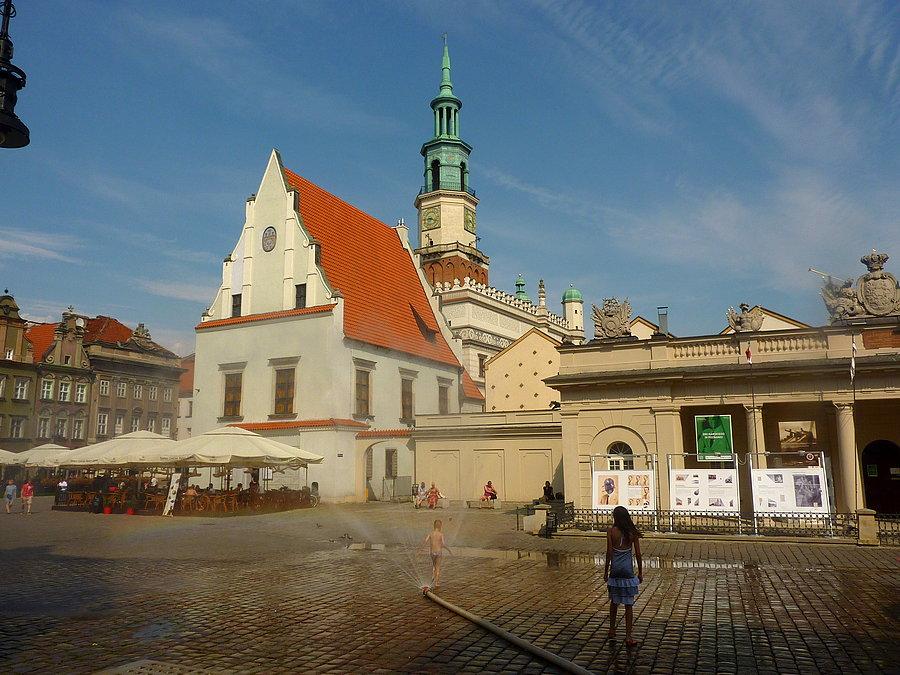 Upał ścinał białko w mózgu