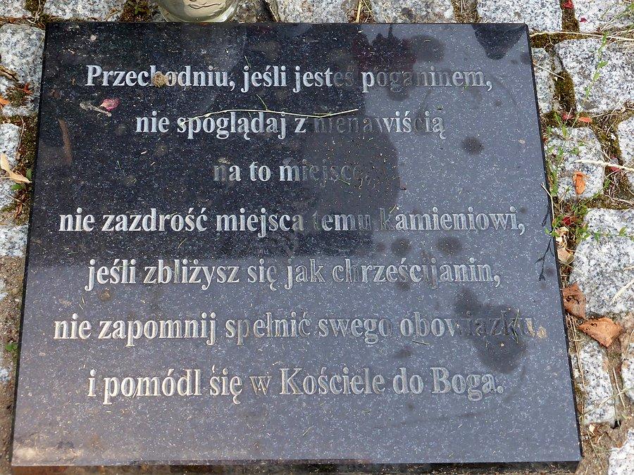 Przechodniu