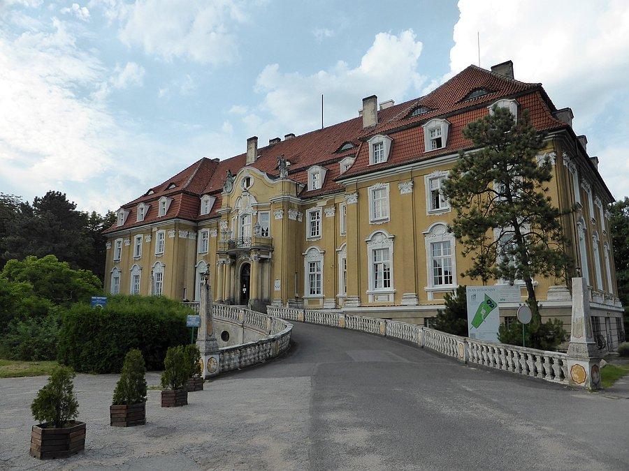 Kochcicki pałac