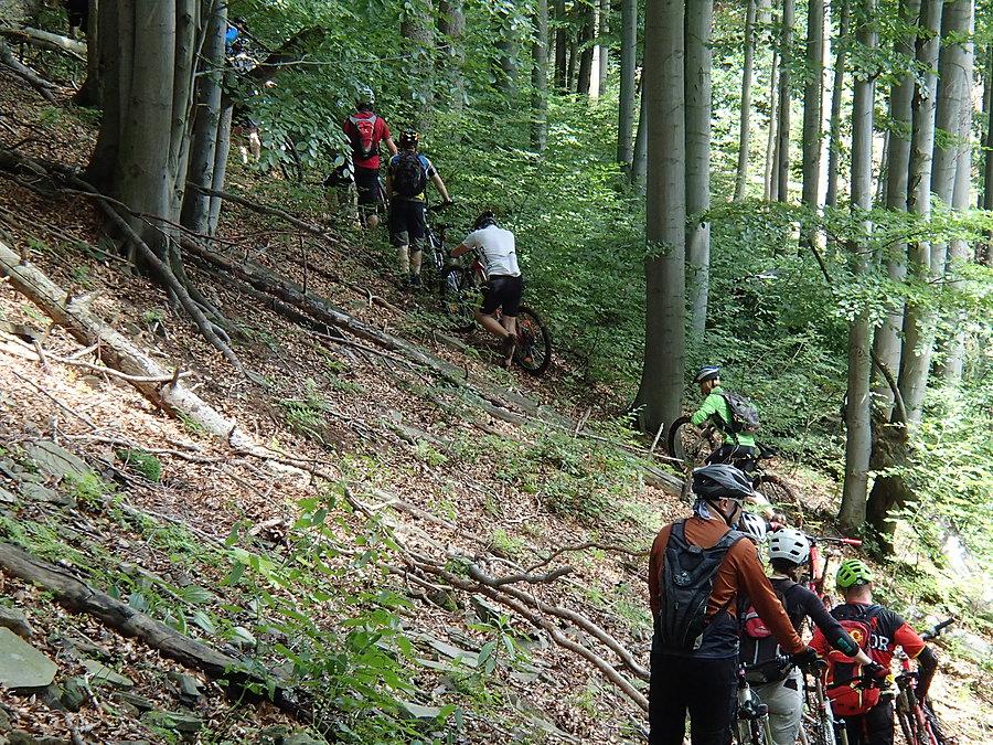 Przeprawa enduro przez nieprzebyty las