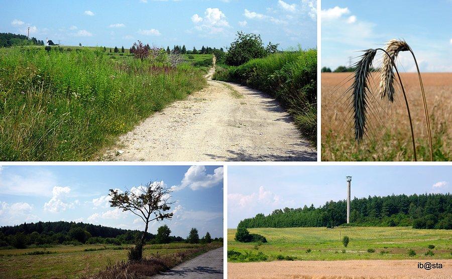Między Trzebinią, a Ciążkowicami - niebieski szlak