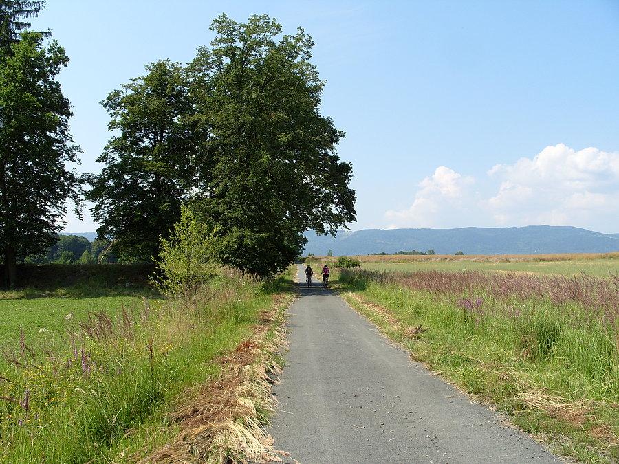 Oczywiście dziewczyny jak to dziewczyny, jak sie zgadały tak zapomniały że jedzie z nimi Feniks ;(