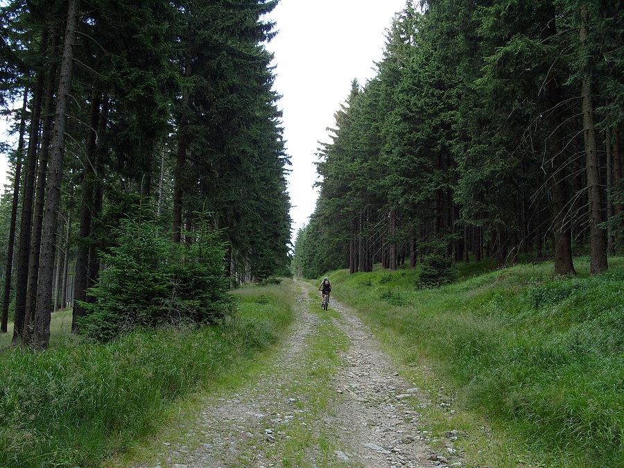 Widzieliście gdzieś Patrycję, nie no i super ;))