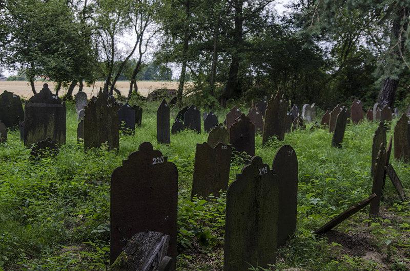 Widać, że ktoś się nimi zainteresował