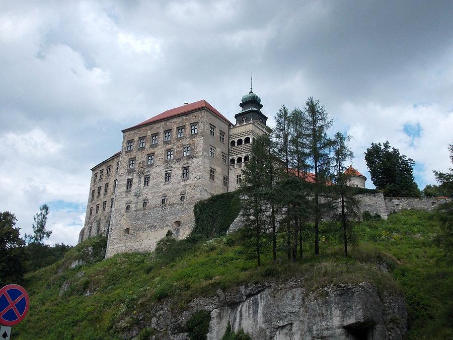 Zamczysko na wzgórzu
