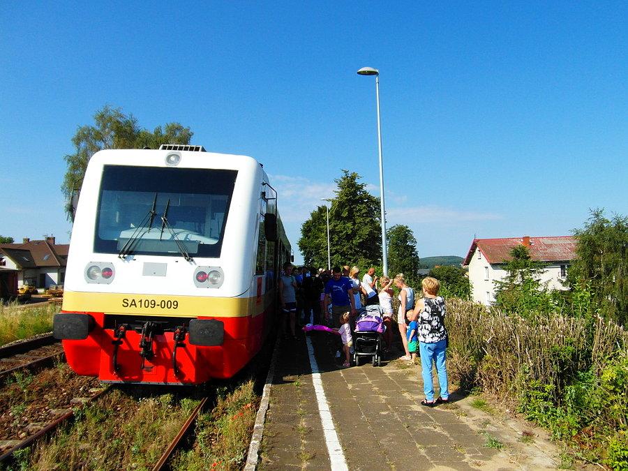 Awaria pociągu w Rokitkach