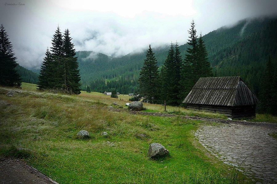 Polana Chochołowska