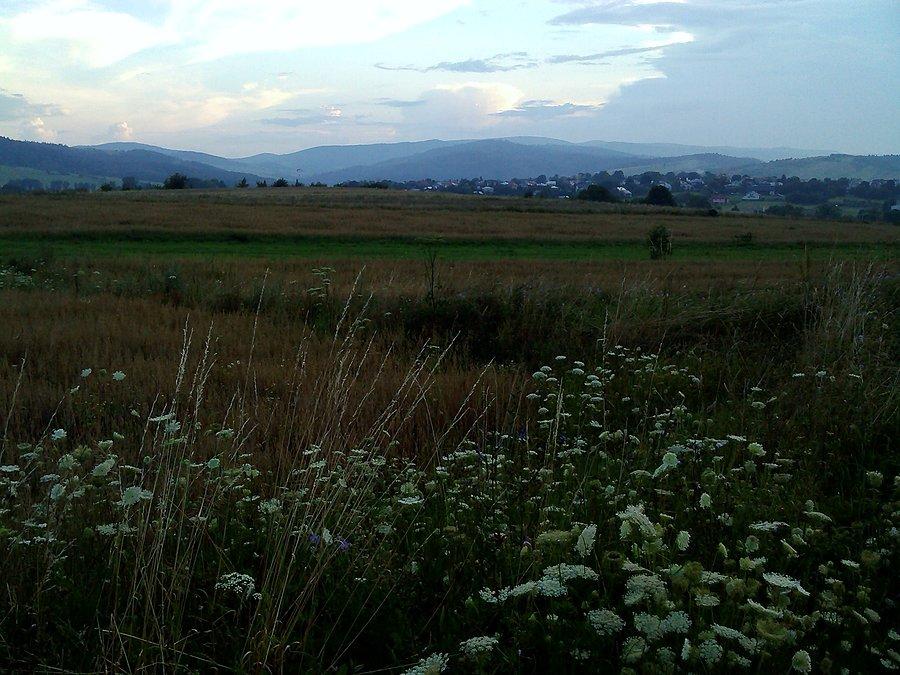 Z widokiem na Beskid Niski