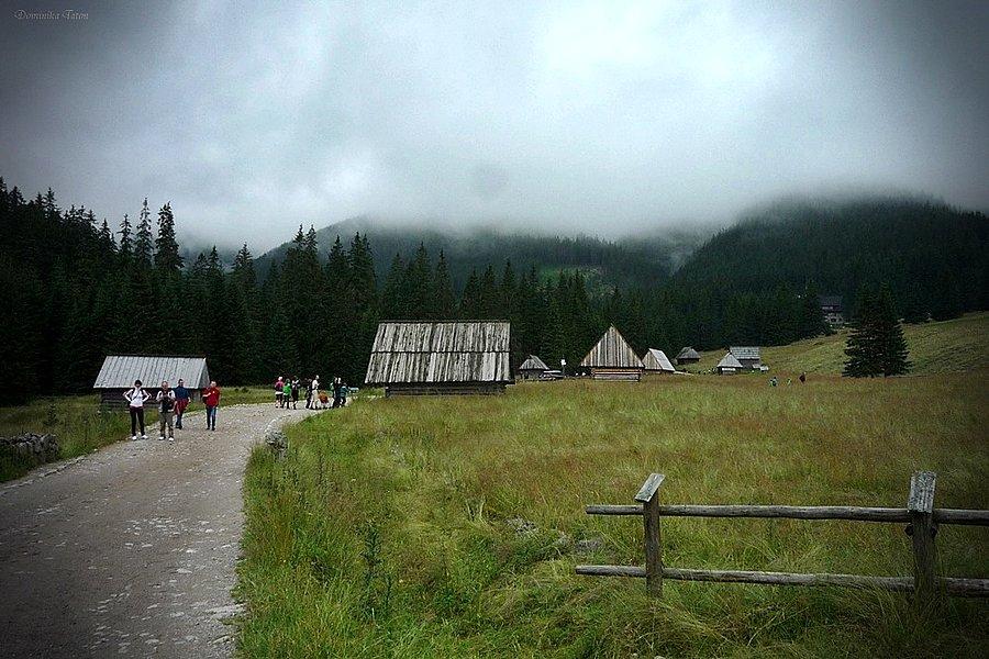 Dolina Chochołowska
