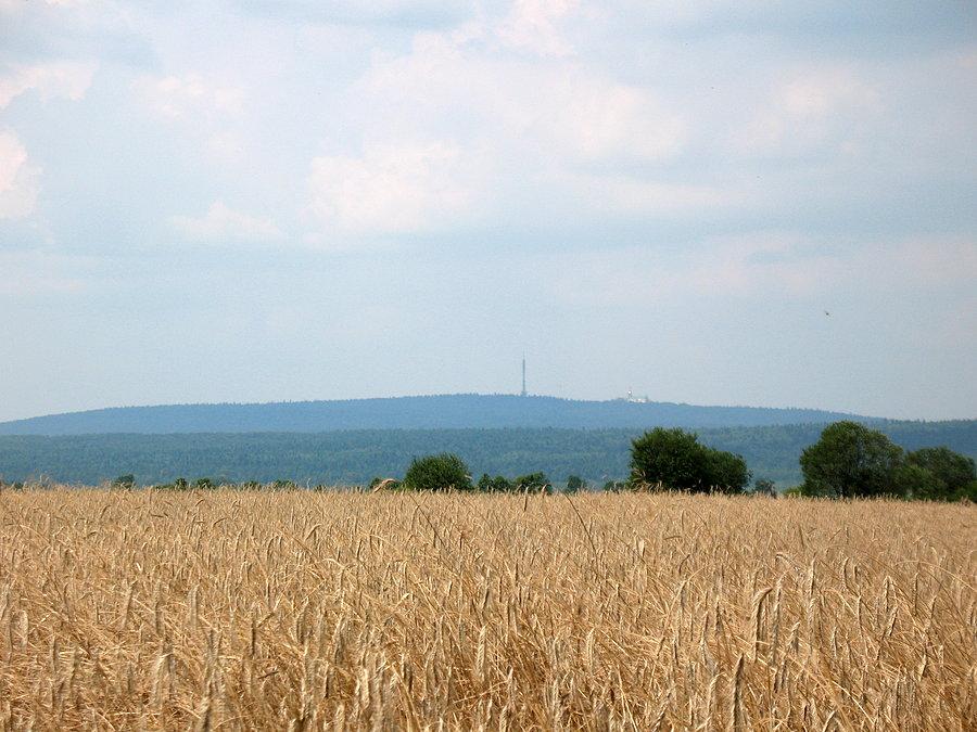 Łysa Góra z Klasztorem Św. Krzyża