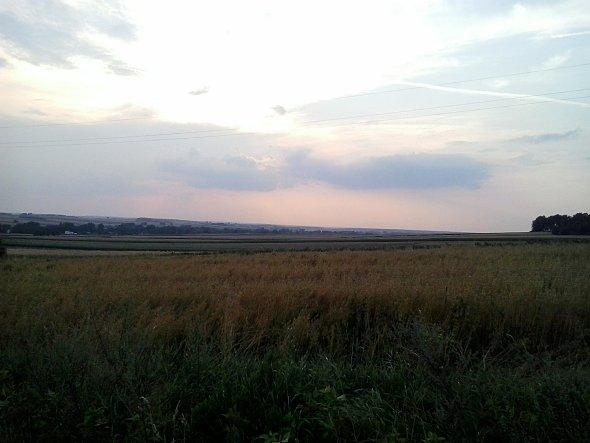 Pola koło Piotrkowa