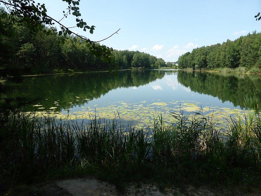 Ładny widok