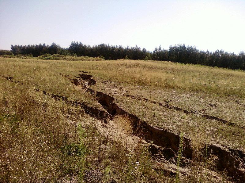 Kaniony na placu budowy