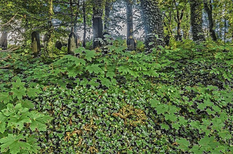 Kirkut w Mikołowie