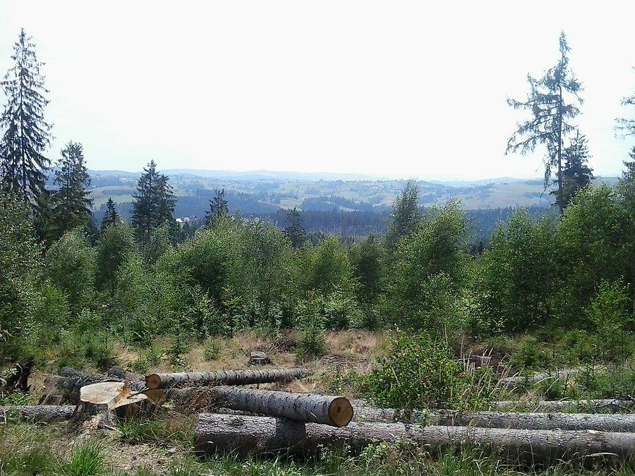 Widok ze Stecówki