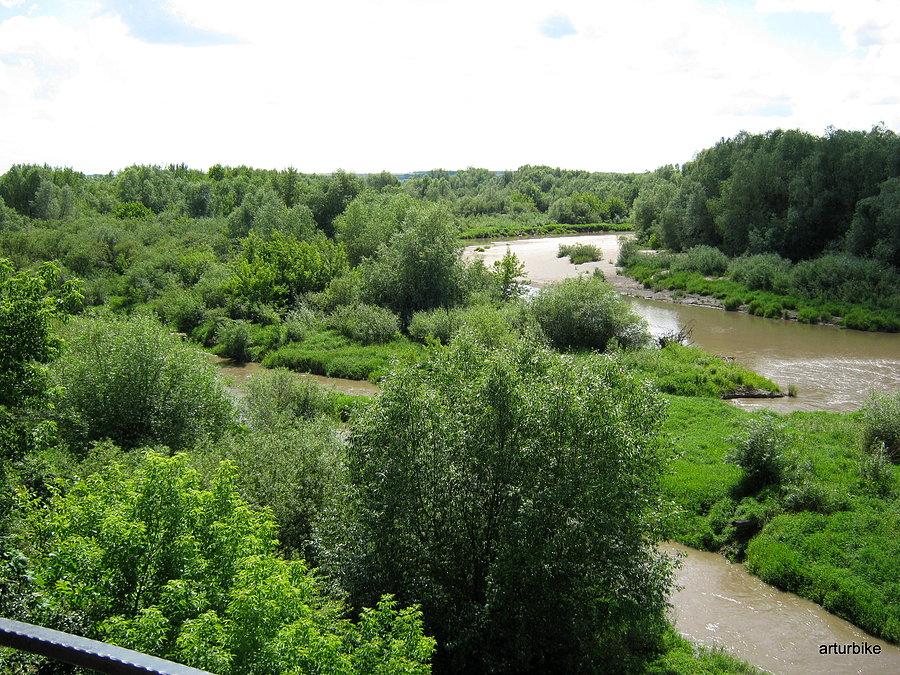 Józefów nad Wisłą_widoczek z tarasu restauracyjnego