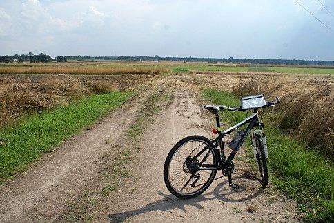 Tu się kończy droga, dalej przebijam się prowizorką przez pola