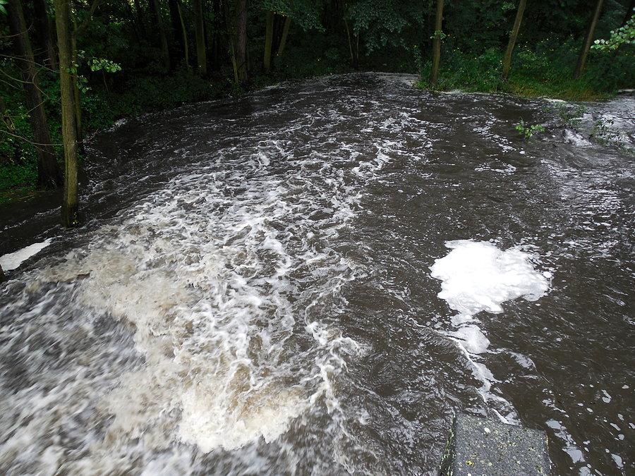 Wzburzona Pankówka