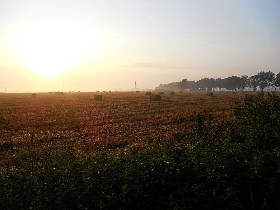 Słońce nad Wielkopolską coraz wyżej
