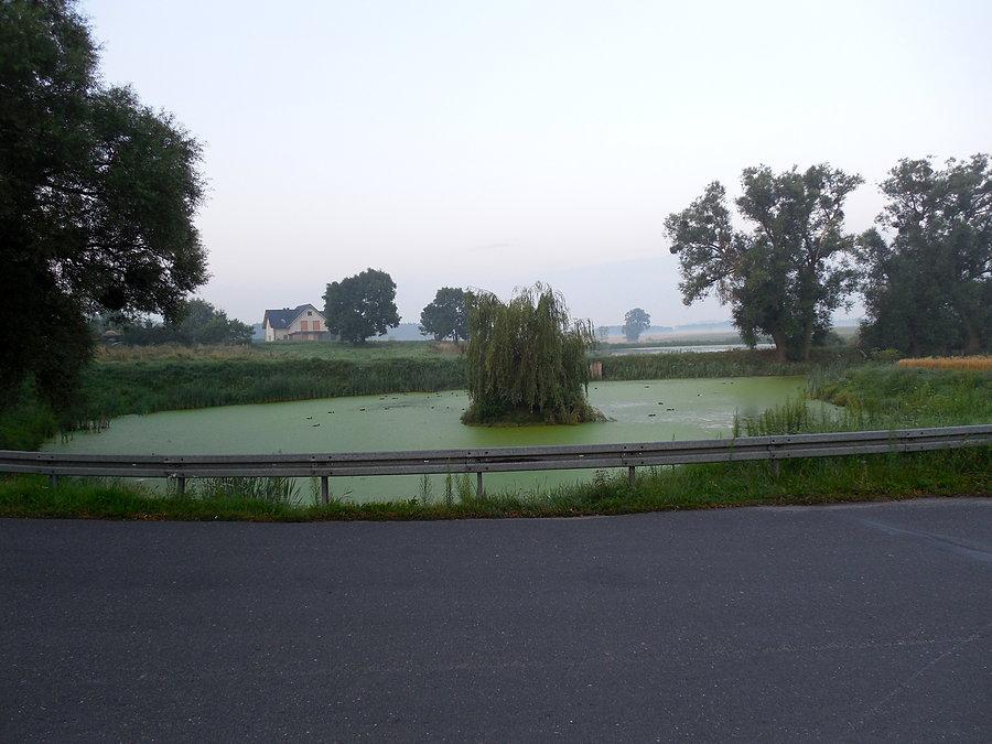 W Winnej Górze
