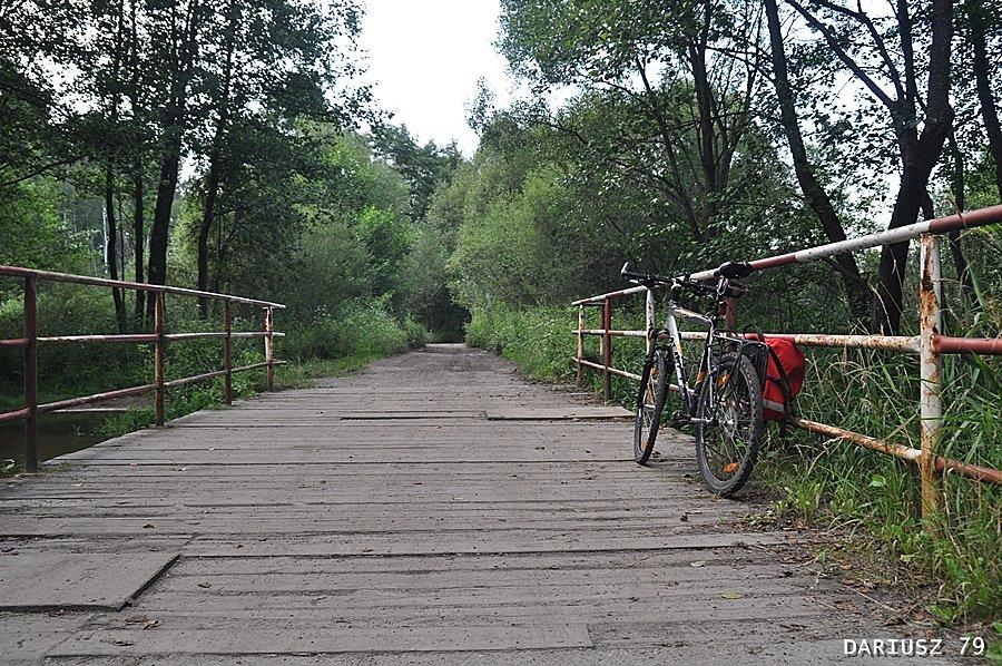 Błedów - Lasy Błędowskie (Most na rzece Biała Przemsza)